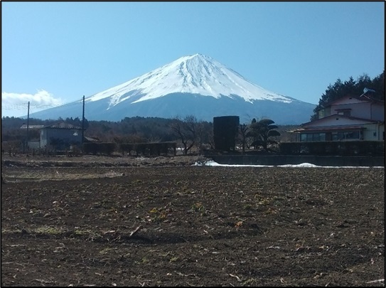 大田和土地