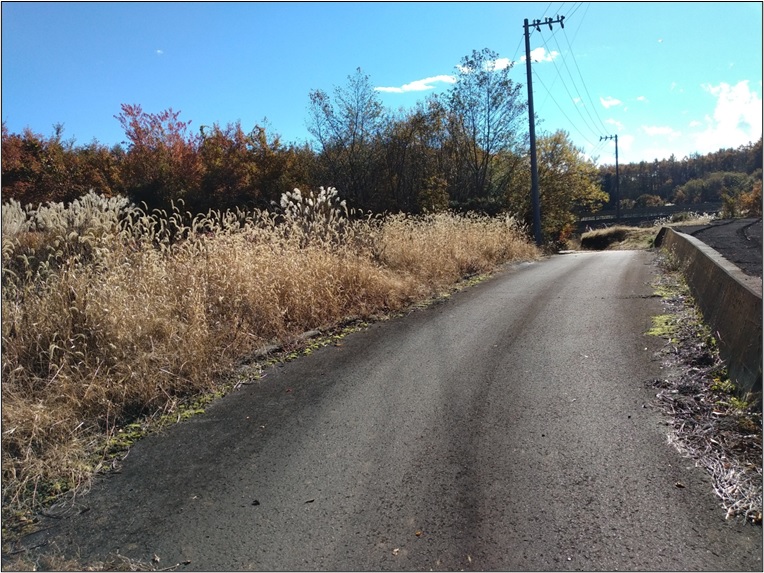 鳴沢村大持売地